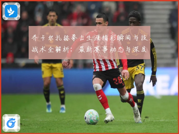 乔卡尔扎赫拳击生涯精彩瞬间与技战术全解析：最新赛事动态与深度分析